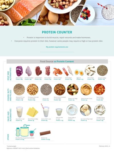 protein counter app